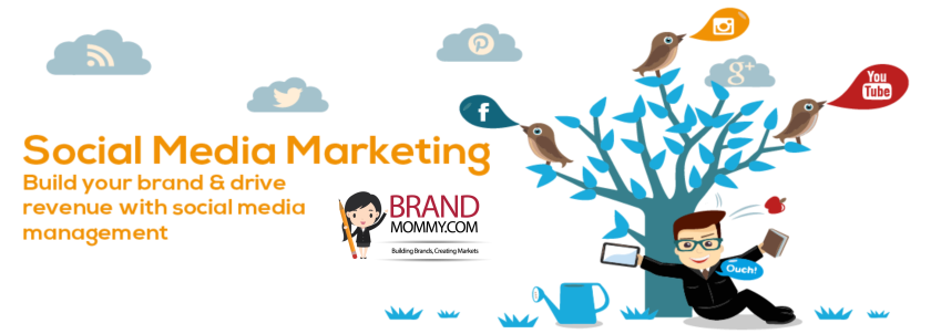 social media marketing, best social media companies in delhi, social media, social media strategy, social media marketing strategy